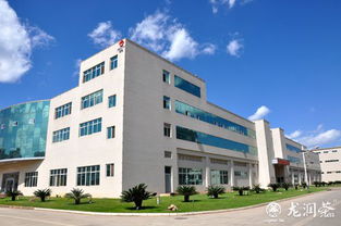 昆明龍潤茶葉生產中心的網絡技術服務 數字化轉型中的茶業新引擎